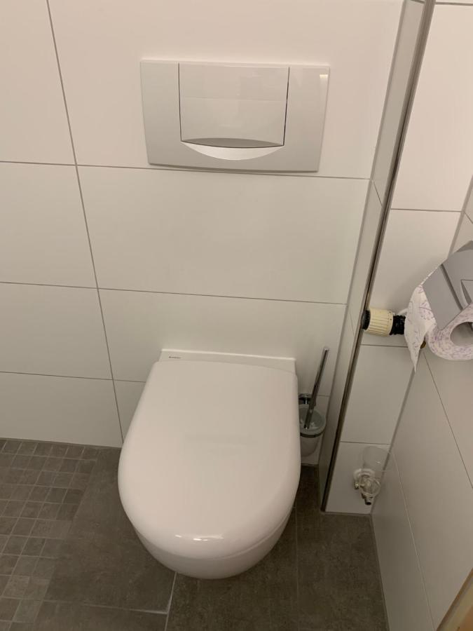 Gaestehaus An Der Rheinbruecke Altlussheim Экстерьер фото