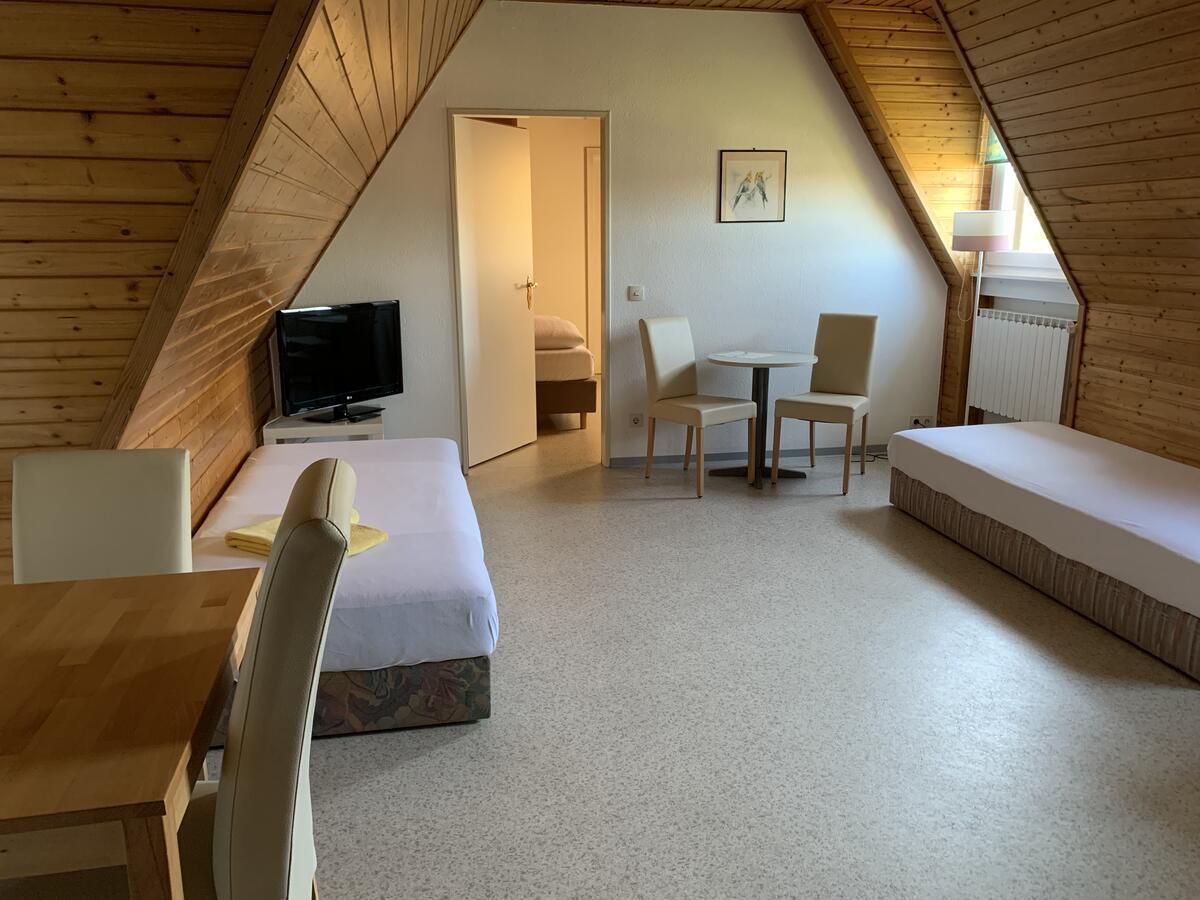 Gaestehaus An Der Rheinbruecke Altlussheim Экстерьер фото